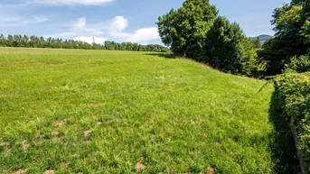 Expose Aus 1 mach 2: teilbares Baugrundstück in sonniger Naturlage, Salzburg - Itzling
