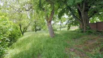 Expose Prominente Villengegend mit gepflegter Nachbarschaft! Liegenschaft mit Altbestand und Wienblick
