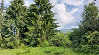 Expose Großzügiges Anwesen mit 3400 m² in Top Lage!