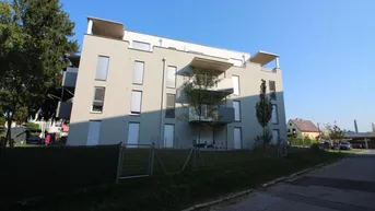 Expose MODERNE SINGLEWOHNUNG MIT 2 ZIMMER, TERRASSE UND GARTEN