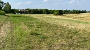 Expose Sonniges großes Grundstück an der Grenze zu Österreich mit Baugenehmigung / Teilbar. Auch als Geldanlage geeignet. Provisionsfrei.