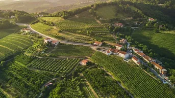 Expose Außergewöhnliches Weingut Estate mit einer Villa von unvergleichlicher Schönheit