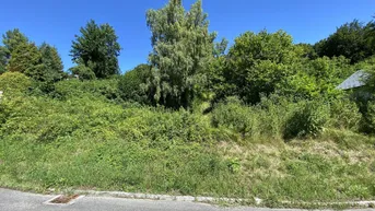 Expose Baugrundstück in einer grünen, idyllischen Lage