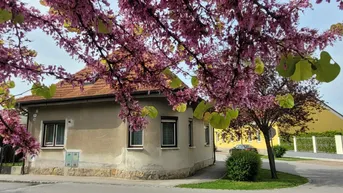 Expose Leobersdorf - Althaus mit Garten