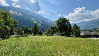 Expose Berge als Zaungäste