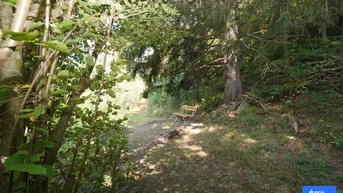 Expose 15.000 m² Natur &amp; Ruhe.