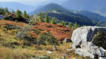 Expose Herrliches Grundstück in Bad Kleinkirchheim-St. Oswald - nahe zum Skilift