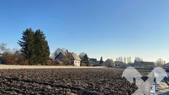 Expose ca. 6500 m² Baugrund in Bad Radkersburg - Goritz