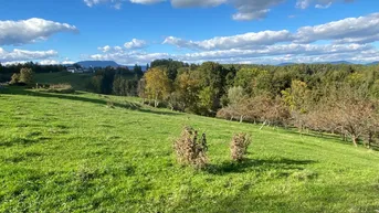 Expose Baugrundstück in sonniger Aussichtslage für Einfamilienhaus oder kleinen Gewerbebetrieb zentral an Hönigthaler Straße