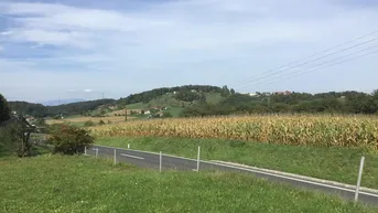 Ländliche Landschaft mit einer Straße, grünen Feldern und bewaldeten Hügeln unter blauem Himmel.