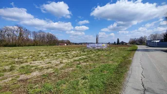 Expose Neubau-Traum am Erlenweg - Sommeraktion 5 % Rabatt!