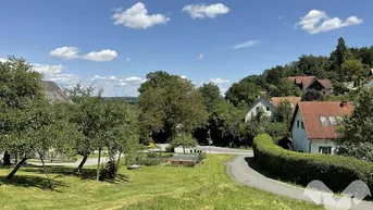 Ländliche Umgebung mit Häusern, Bäumen und einer Straße unter blauem Himmel.