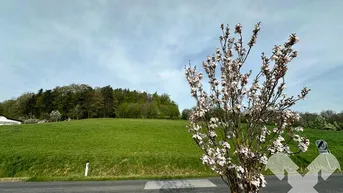 Expose SONNIGES BAUGRUNDSTÜCK in Nähe der Therme Loipersdorf