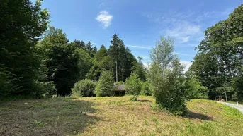 Expose Seltene Gelegenheit für Naturliebhaber - ca. 1180 m² Baugrundstück plus Waldgrundstück in Graz-Umgebung