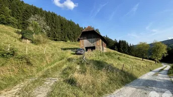 Expose Waldflächen in Södingberg