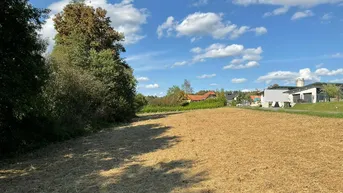 Expose Sonniges Baugrundstück in Wieselsdorf