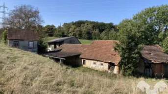 Expose Hofstelle im Dornröschenschlaf nähe der Stadt Feldbach