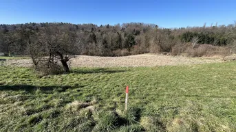 Expose Baugrundstück in Rettenbach nähe Leibnitz