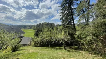 Expose Charmante Grünidylle mit Haus, Wiese und Wald