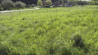 Expose Idyllisches Baugrundstück bei St. Margarethen/Raab mit einem fertigen Konzept für den Bau eines Einfamilienhauses!