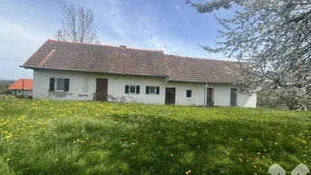Expose Kellerstöckl auf Baugrund mit Weingarten und kleinem Wäldchen