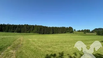 Expose Landwirtschaftlicher Grund in Bad Mitterndorf