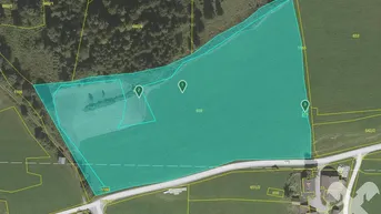 Expose 2 ha landwirtschaftlicher Grund am Petersberg bei Haus im Ennstal