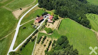 Expose Idyllische alte Apfelplantage mit Wald, Wohnhaus, Kellerstöckl und Stallungen in Kumberg b. Graz
