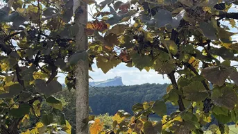 Expose Ein Platz zum Ankommen- mit Blick auf die Riegersburg