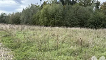 Expose Baugründe in idyllischer Lage Gleisdorf Rand