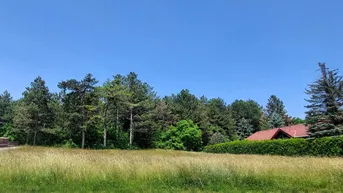 Expose BAUGRUND MIT 678 m² IN IDYLLISCHER GRÜNRUHELAGE VON BERNDORF