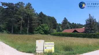 Expose BAUGRUND MIT 1361 m² IN IDYLLISCHER LAGE VON BERNDORF - Auch für Bauträger geeignet!