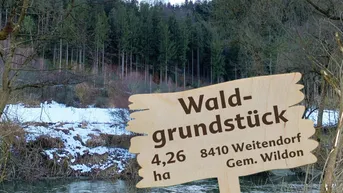 Expose Waldgrundstück (4,26 ha) in Weitendorf zu verkaufen
