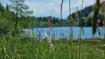 Expose Saissersee: Baugrundstück in Seenähe
