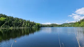Expose Saissersee: Grundstück mit Baubewilligung