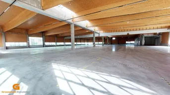 Geräumige Lagerhalle mit hoher Holzdecke, Betonboden und viel Tageslicht durch Fenster und Oberlichter.