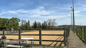 Expose Zeitzeuge am Gartenbach – Historisches Mühlenanwesen Pferdehaltung