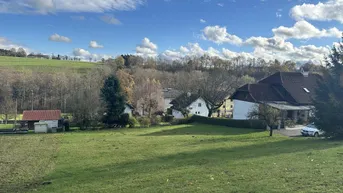 Expose Baugrund mit idyllischem Grünblick in Thalheim bei Wels - kein Bauzwang