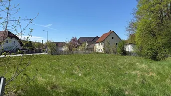 Grüne Wiese mit Häusern im Hintergrund unter blauem Himmel, ideal für Neubau.