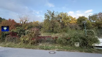 Expose Sieggraben-001153