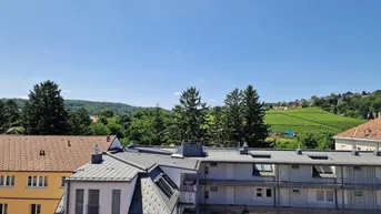 Expose NEUER PREIS - Barrierefreie und sympathische Wohnung mit Außenfläche und Weinbergblick