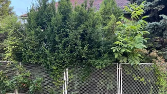 Expose ABBRUCH - NEUBAU - GRÜNRUHELAGE