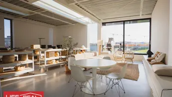 Expose herrliches Loft als Büro oder Ausstellungsfläche mit großer Terrasse und klassische Büroräumlichkeiten