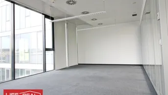 Expose ein Wohlfühlbüro, hell, sonnig, lichtdurchflutet,