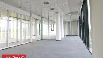 Expose ein Wohlfühlbüro, hell, sonnig, lichtdurchflutet,