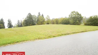 Expose Schafzucht, Pferdezucht,schöne, große landwirtschaftliche Nutzfläche, in ruhiger Lage