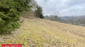 Expose Vielseitiges Grundstück in wachstumsstarker Region