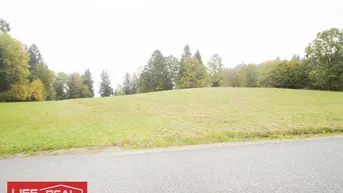 Expose Schafzucht, Pferdezucht,schöne, große landwirtschaftliche Nutzfläche, in ruhiger Lage