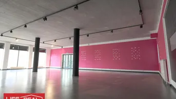 Expose großes Büro/Ausstellungsfläche in zentraler Lage