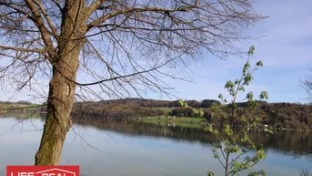 Expose Grundstück mit Seltenheitswert am Mattsee